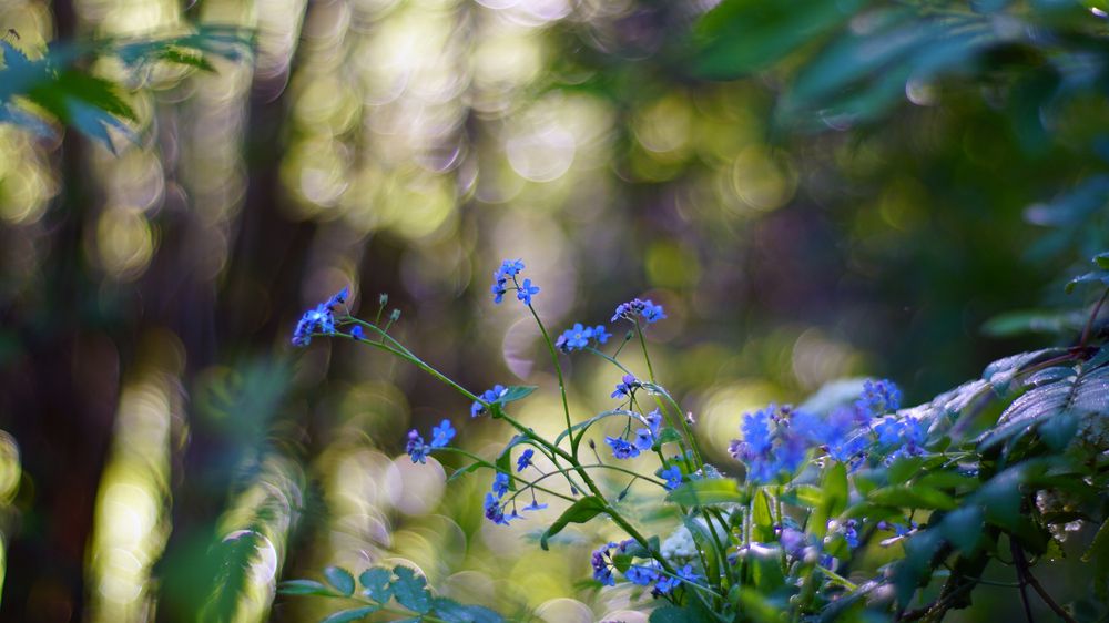 Фотография автора Дмитрий