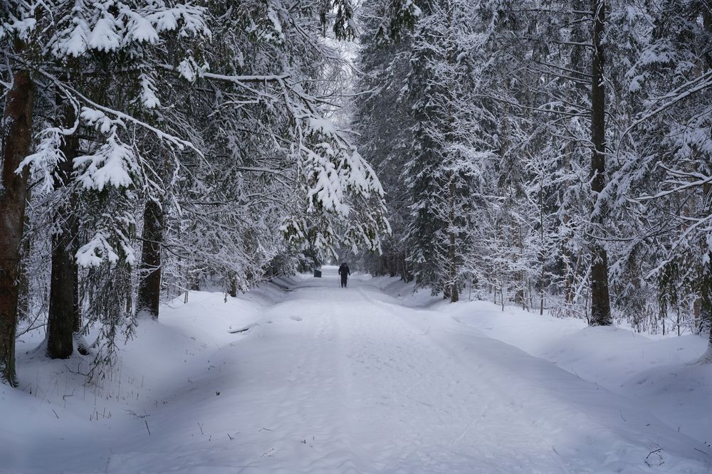 Фотография автора Елена
