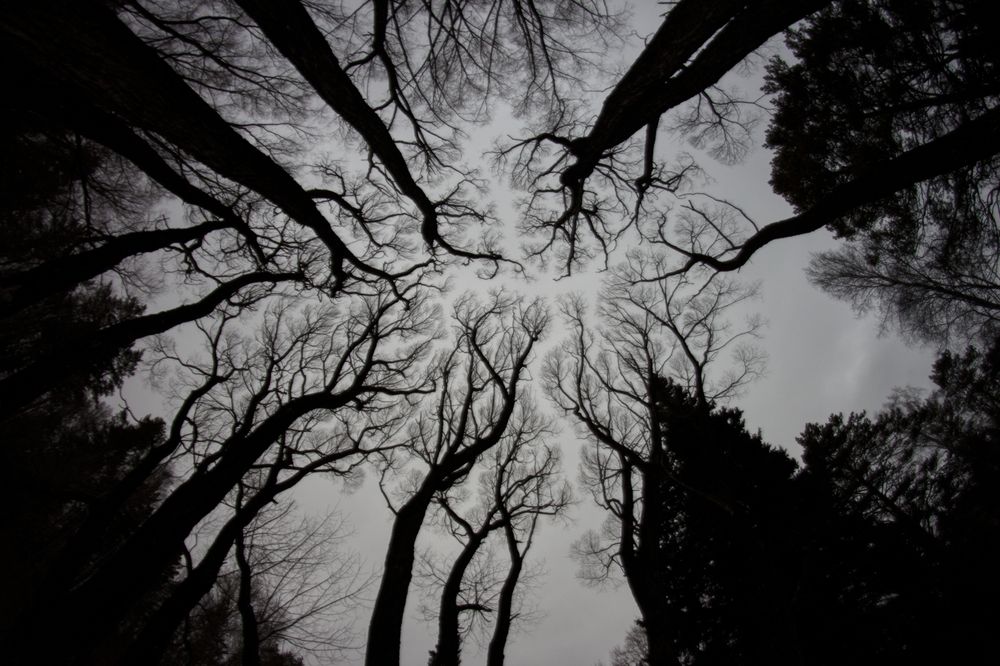 Photograph by Anastasia Anikina