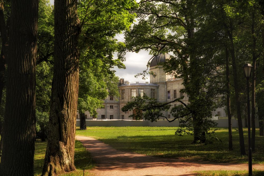 Фотография автора Елена