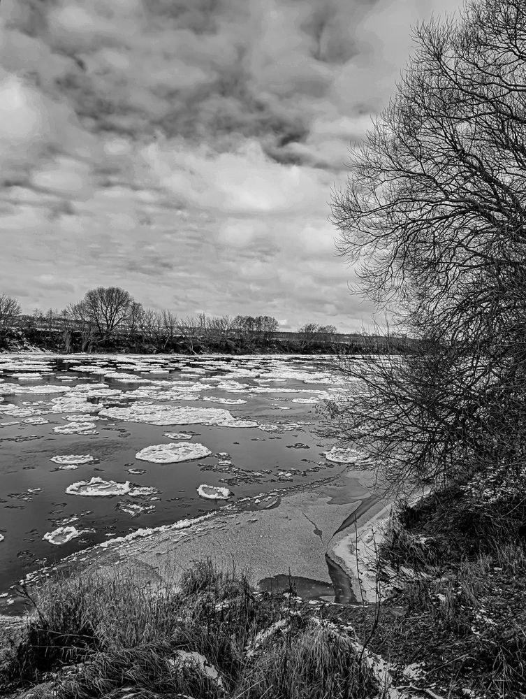 Фотография автора Светлана Таркан