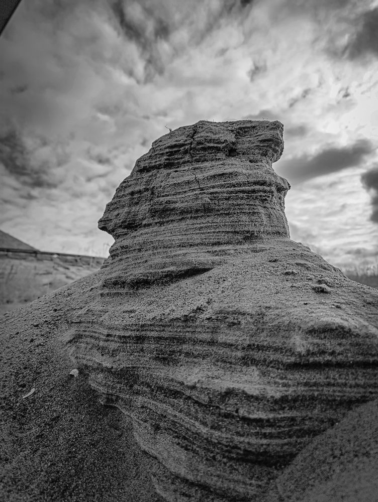 Фотография автора Светлана Таркан