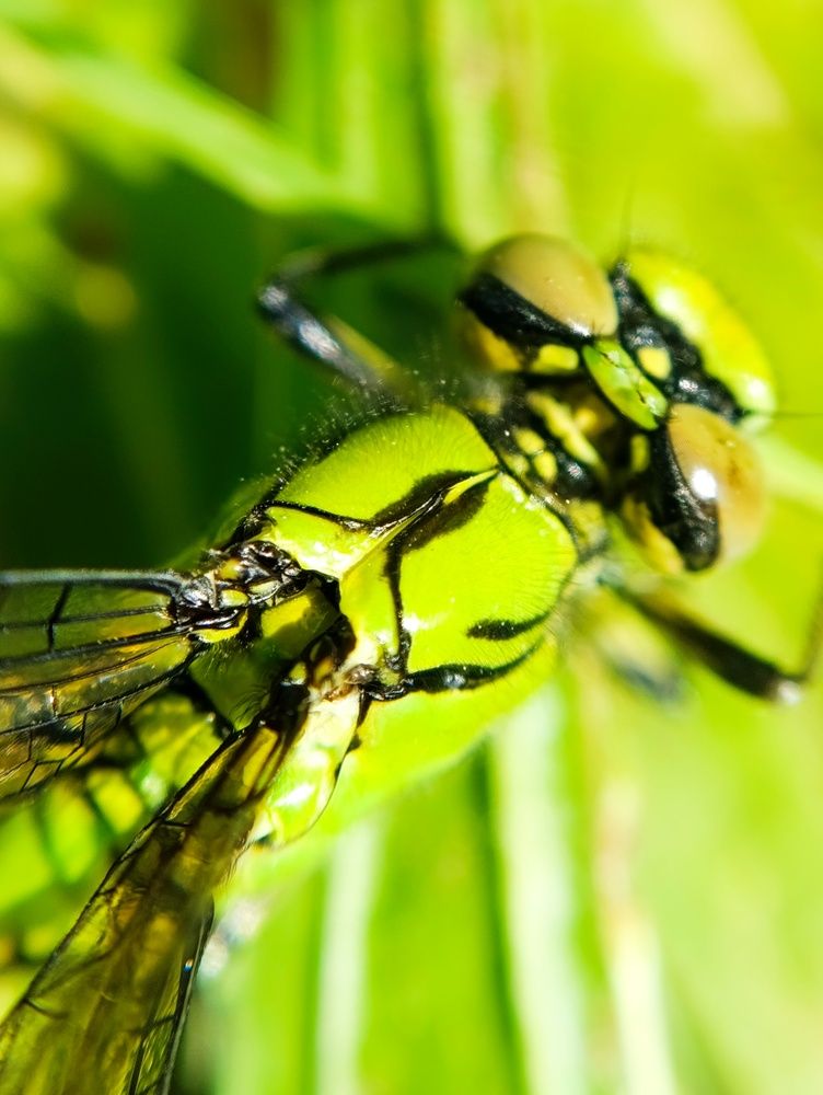 Фотография автора Светлана Таркан
