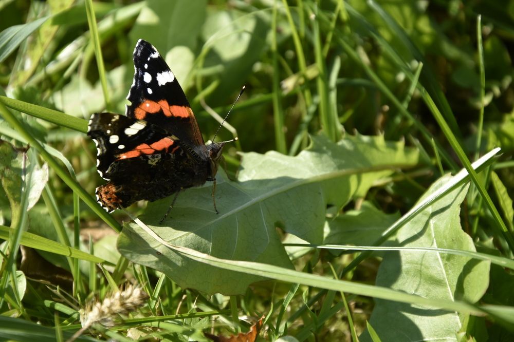 Фотография автора Юлия Ю.