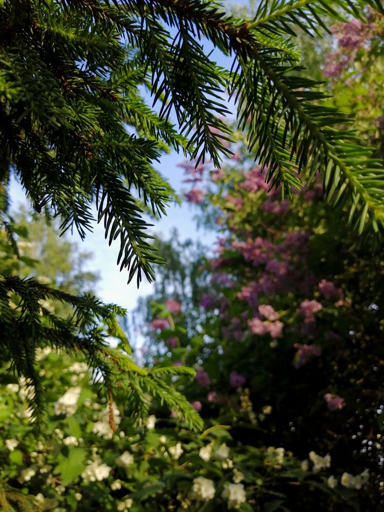 Фотография автора Серафима Футлярова