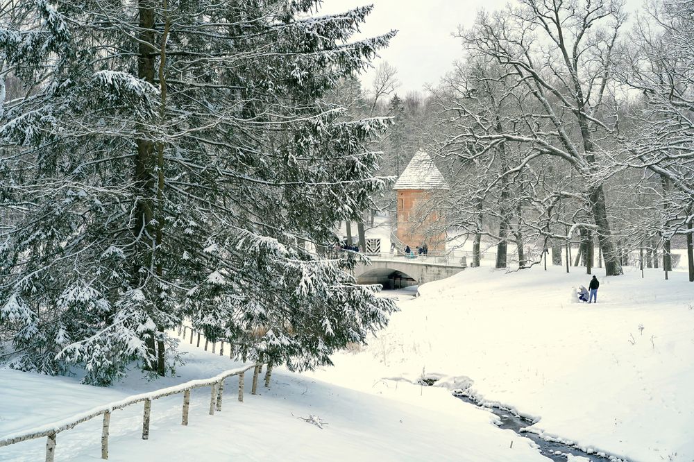 Фотография автора Елена