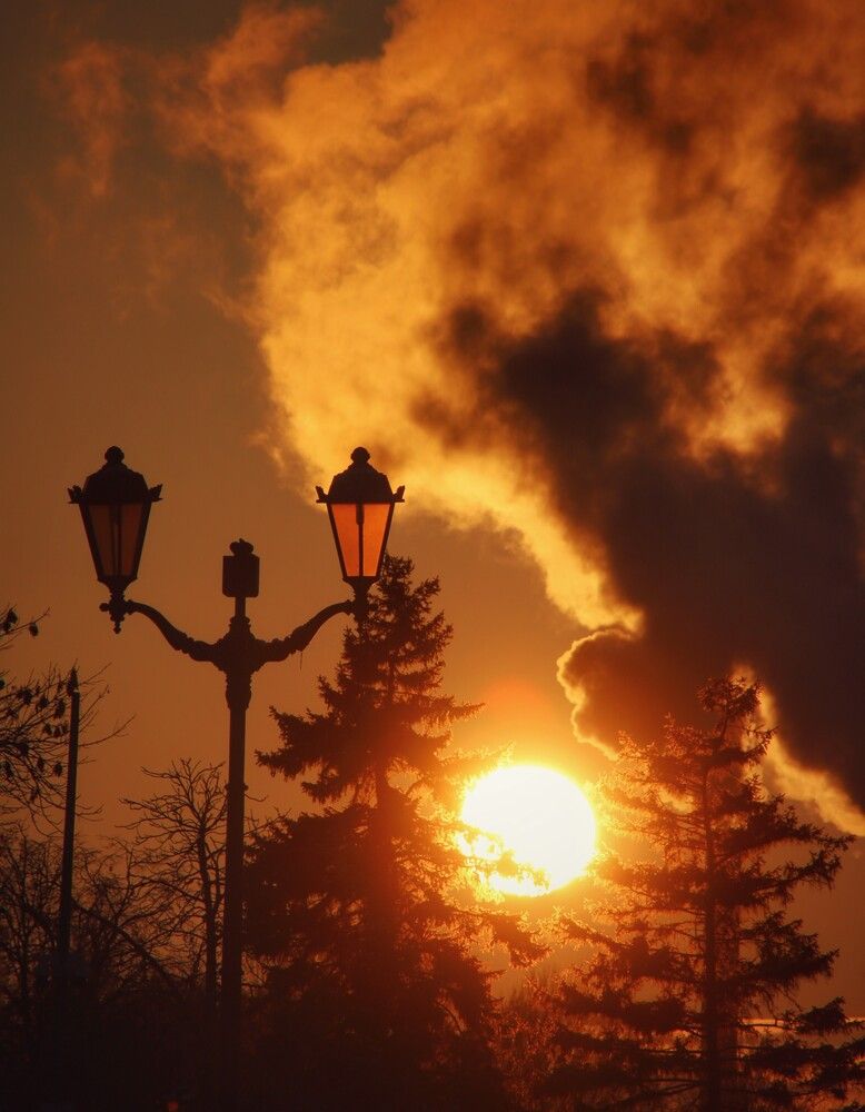 Photograph by ФотоLIFE