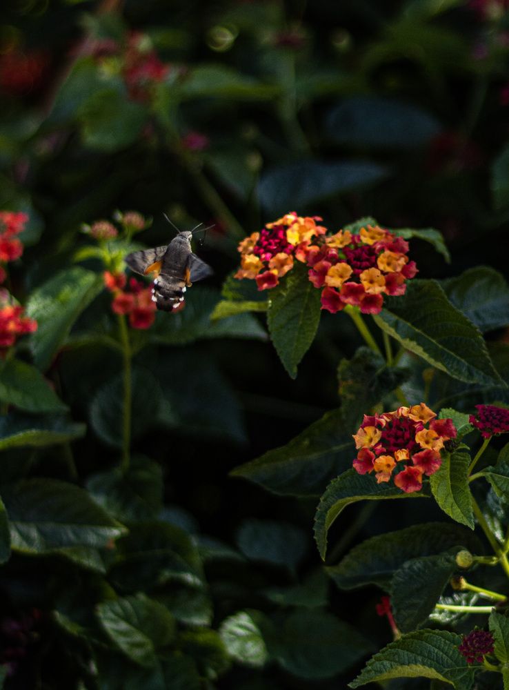 Фотография автора Ксения Золотарь