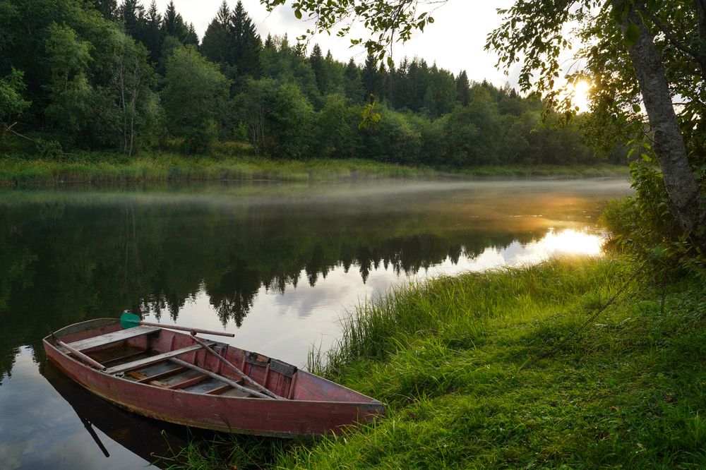 Фотография автора Елена
