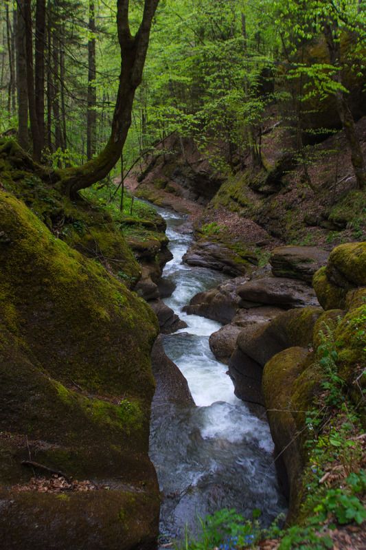 юлия, Russia