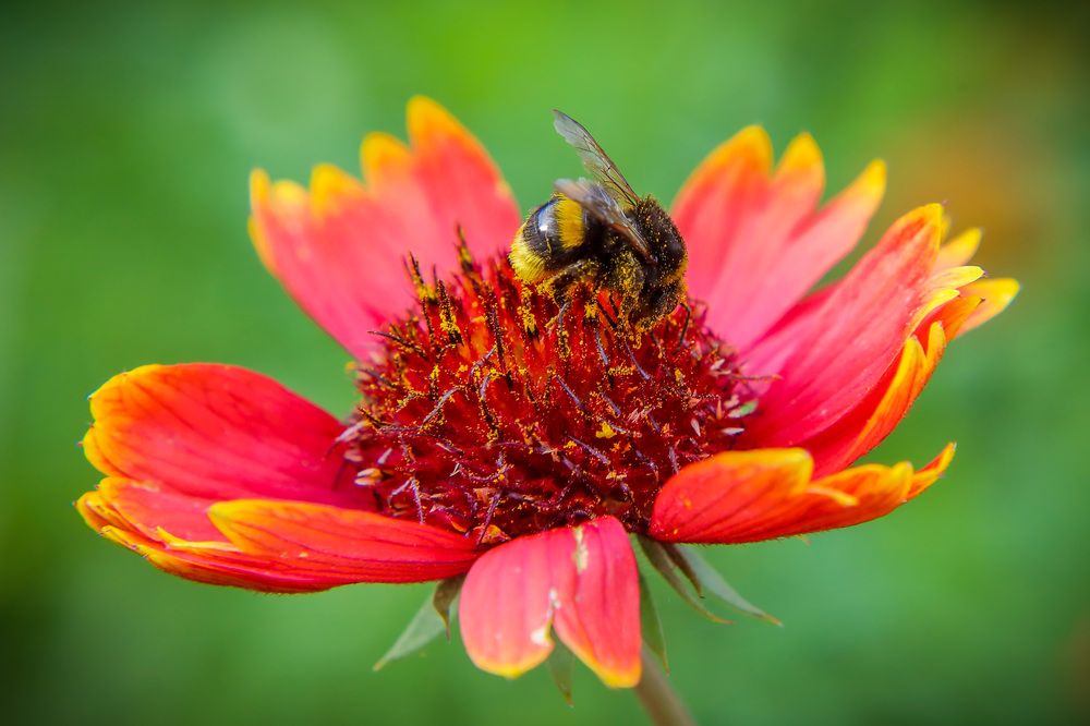 Фотография автора Юрий Фефилов