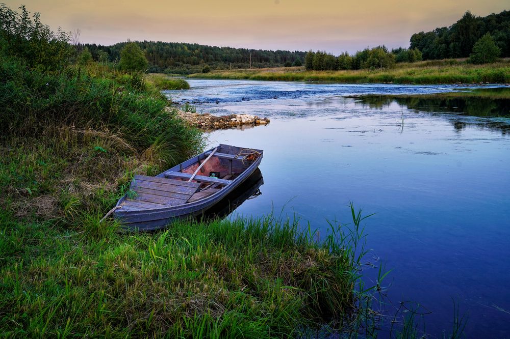 Фотография автора Елена