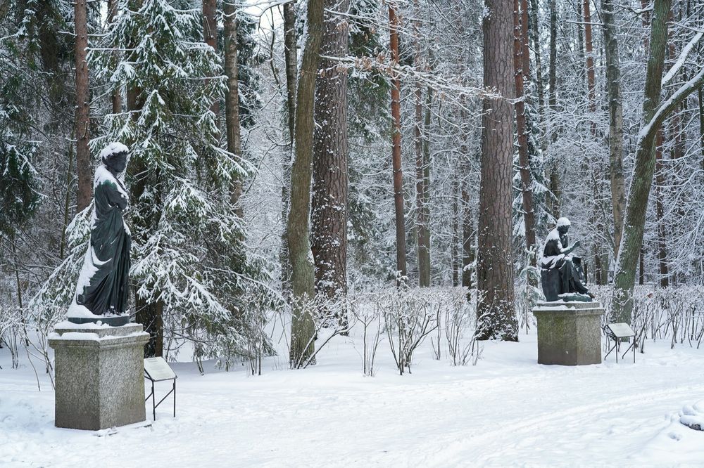 Фотография автора Елена