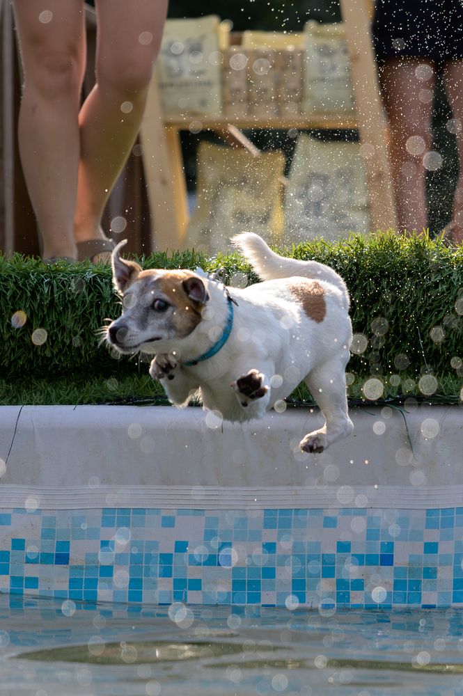 Фотография автора Yulia