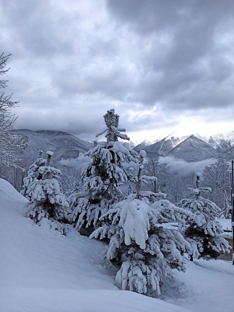 Photograph by Ирина Кокшарова