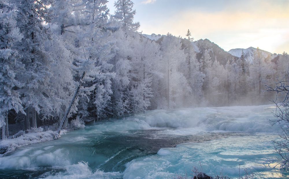Фотография автора Светлана Шишкова