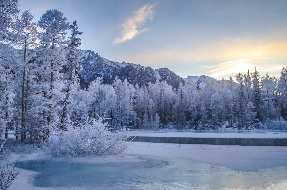 Фотография автора Светлана Шишкова