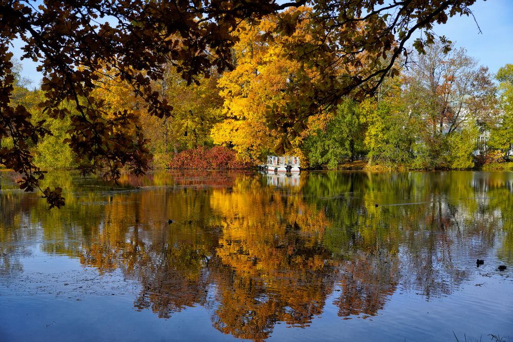 Фотография автора Елена