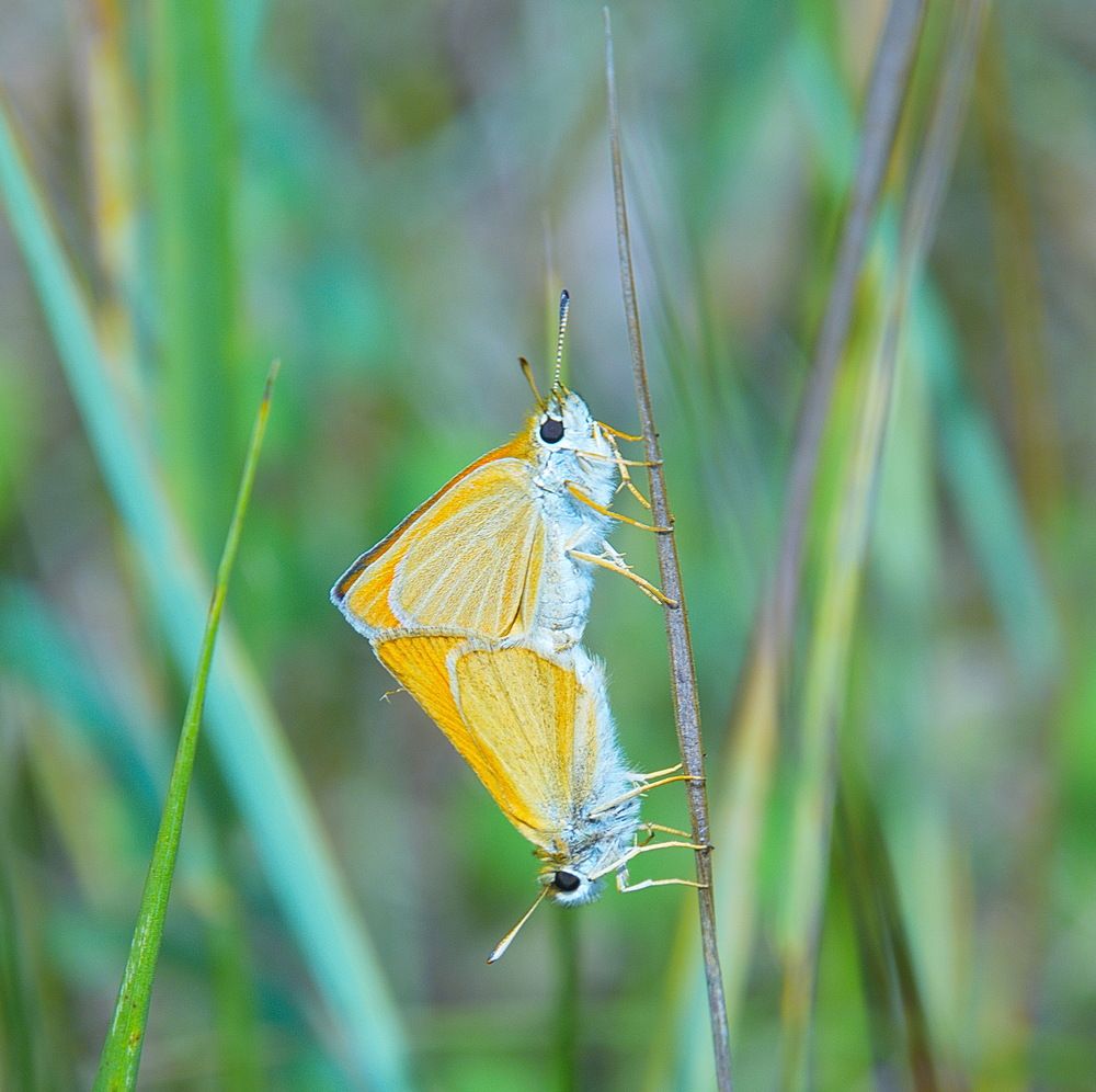 Photograph by Василий Быстрицкий