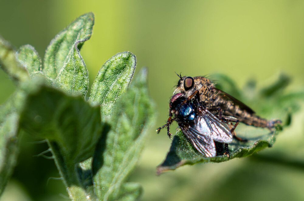 Photograph by Vladimir Voronyuk