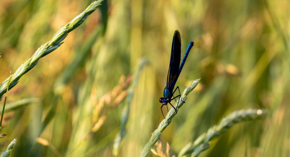 Photograph by Vladimir Voronyuk