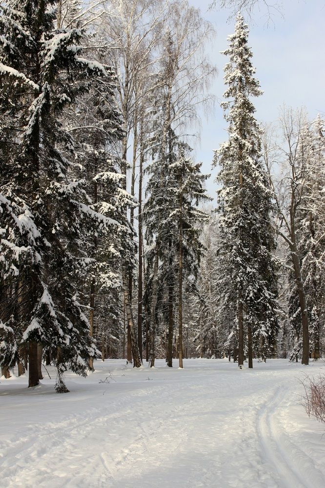 Photograph by Елена Николаева