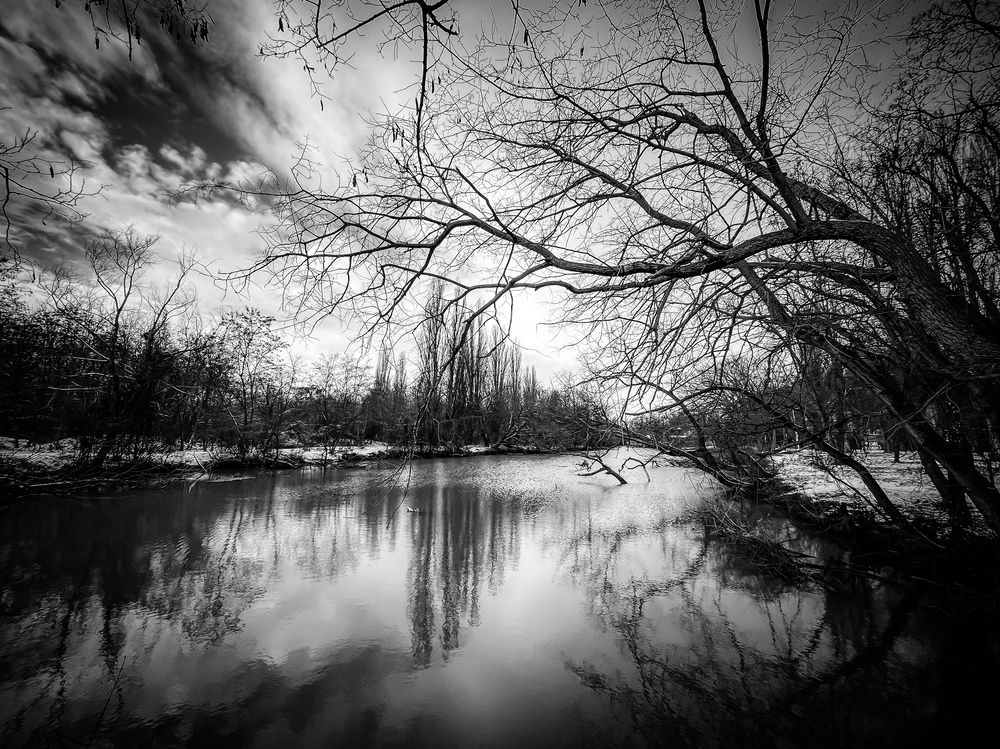 Старая Кубань