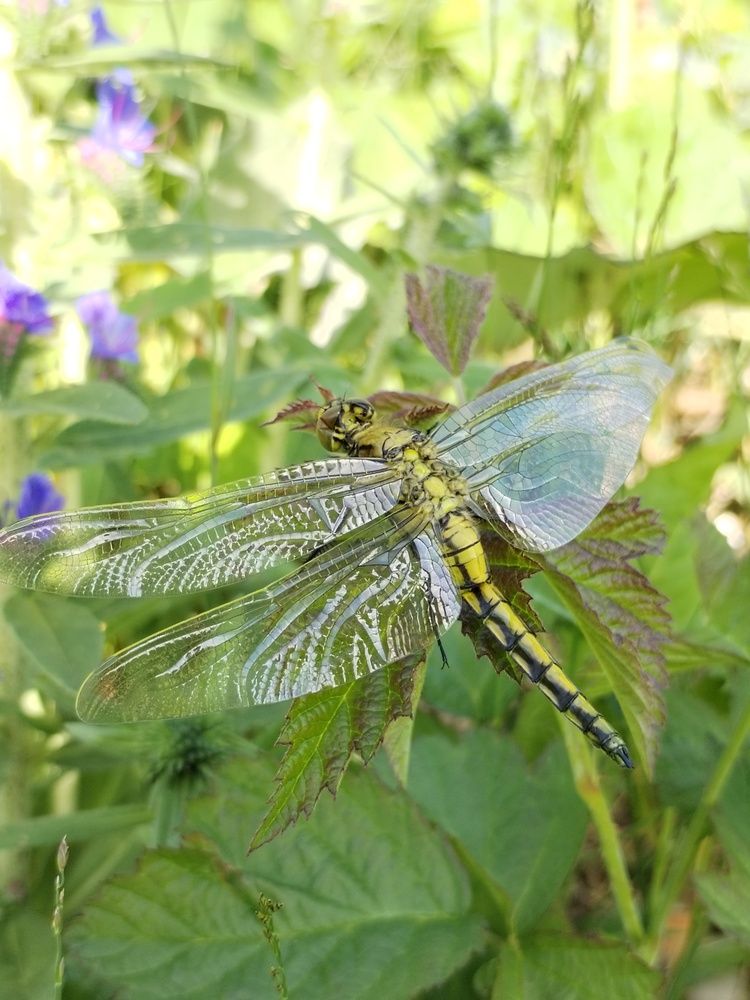 Фотография автора Юлия Ю.