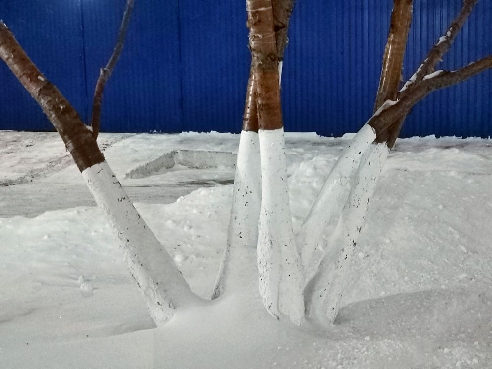 Фотография автора Екатерина Першина