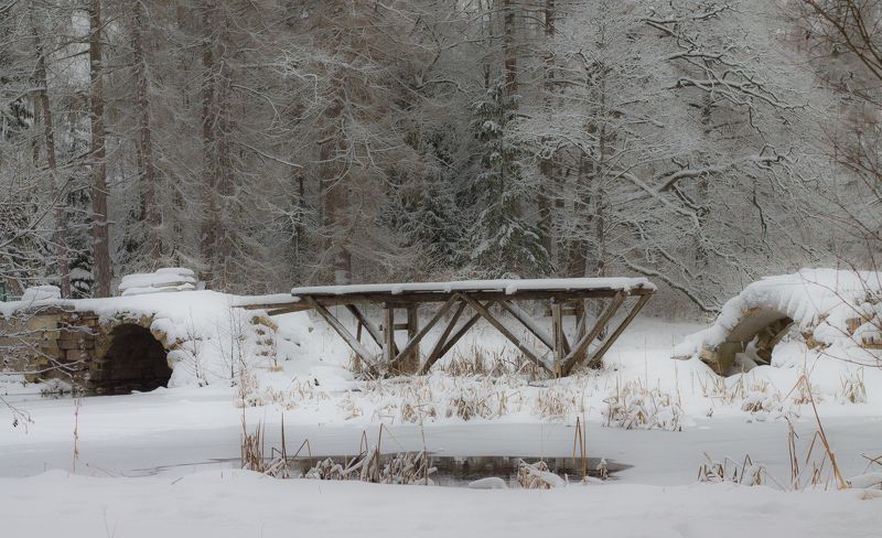 Petrushin Sergey, Russia