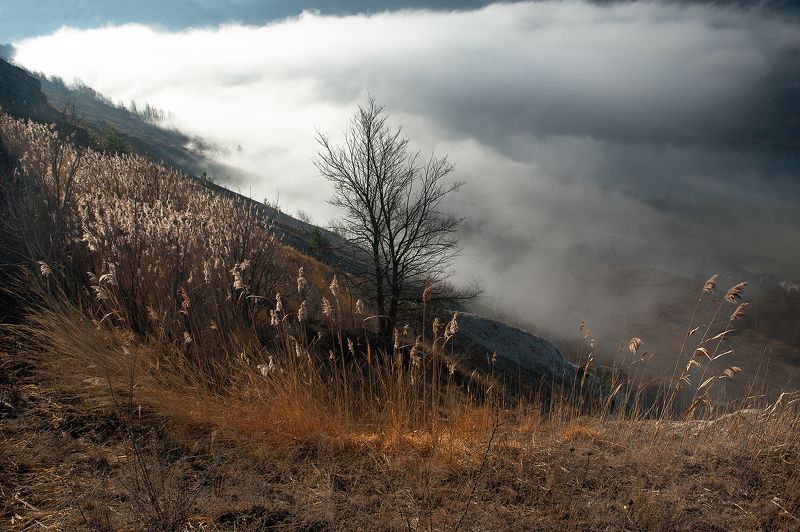 Валерий Смирнов, Ukraine
