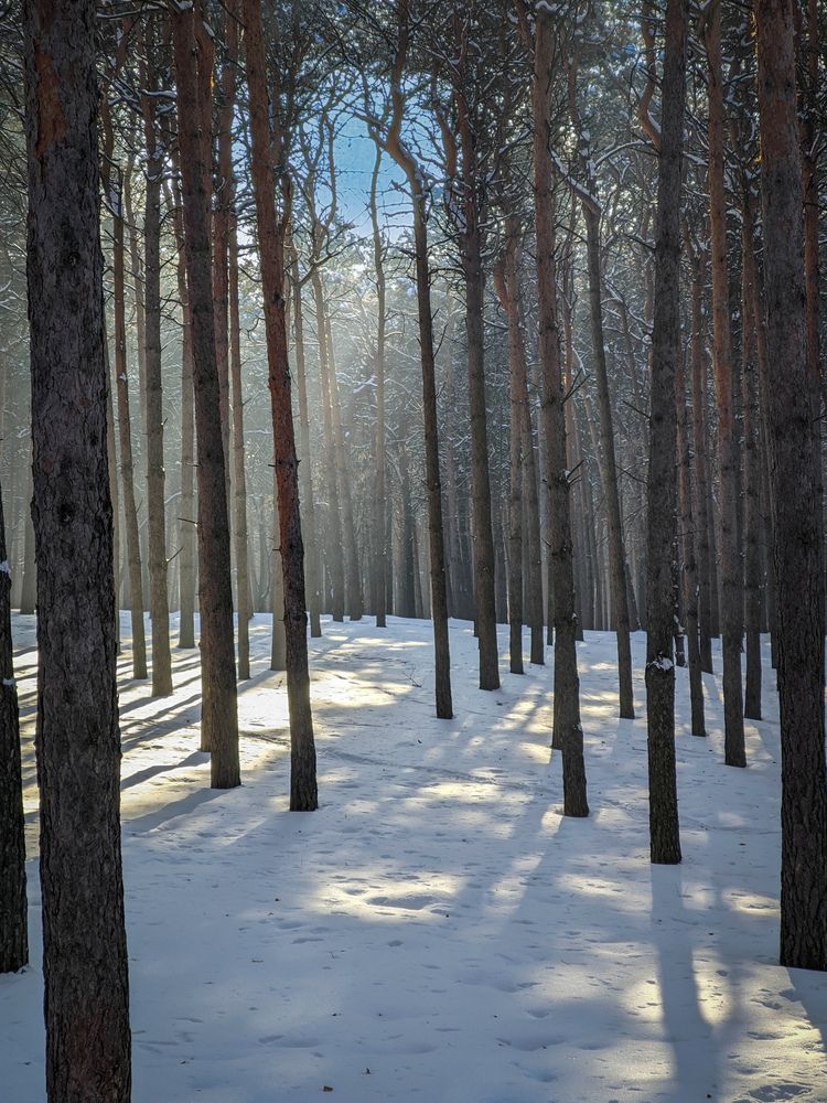 Photograph by Олега Тор