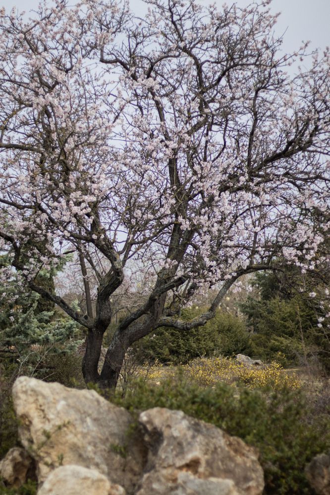 Фотография автора Ксения Золотарь