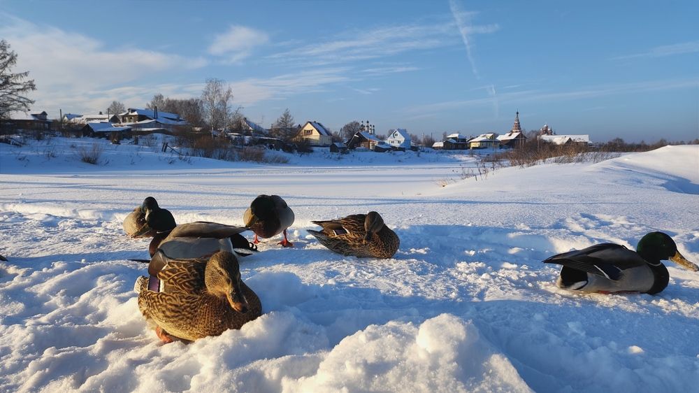 Фотография автора Марина Артемьева