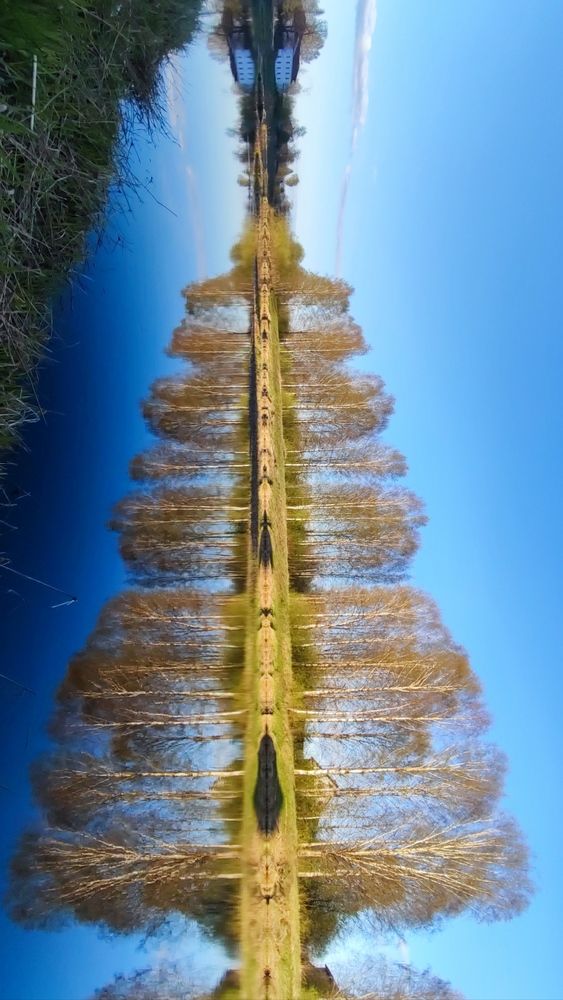 Фотография автора Марина Артемьева