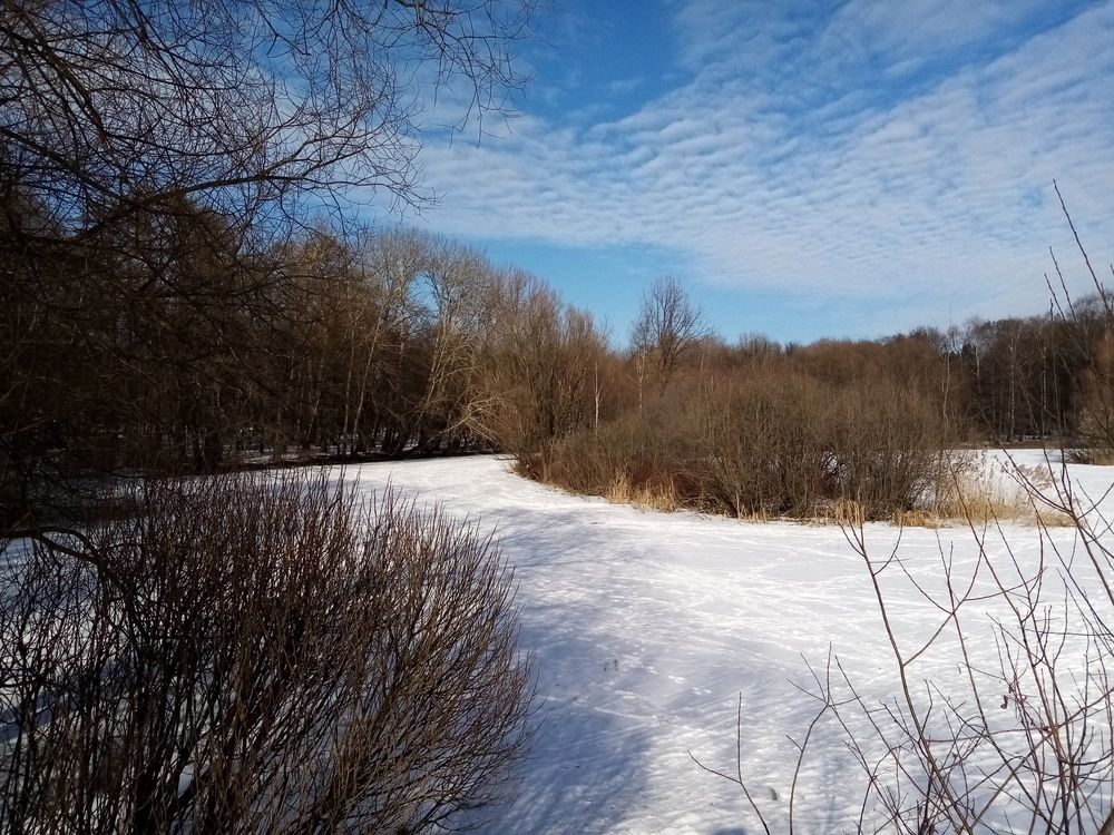 Фотография автора Наталья Визер