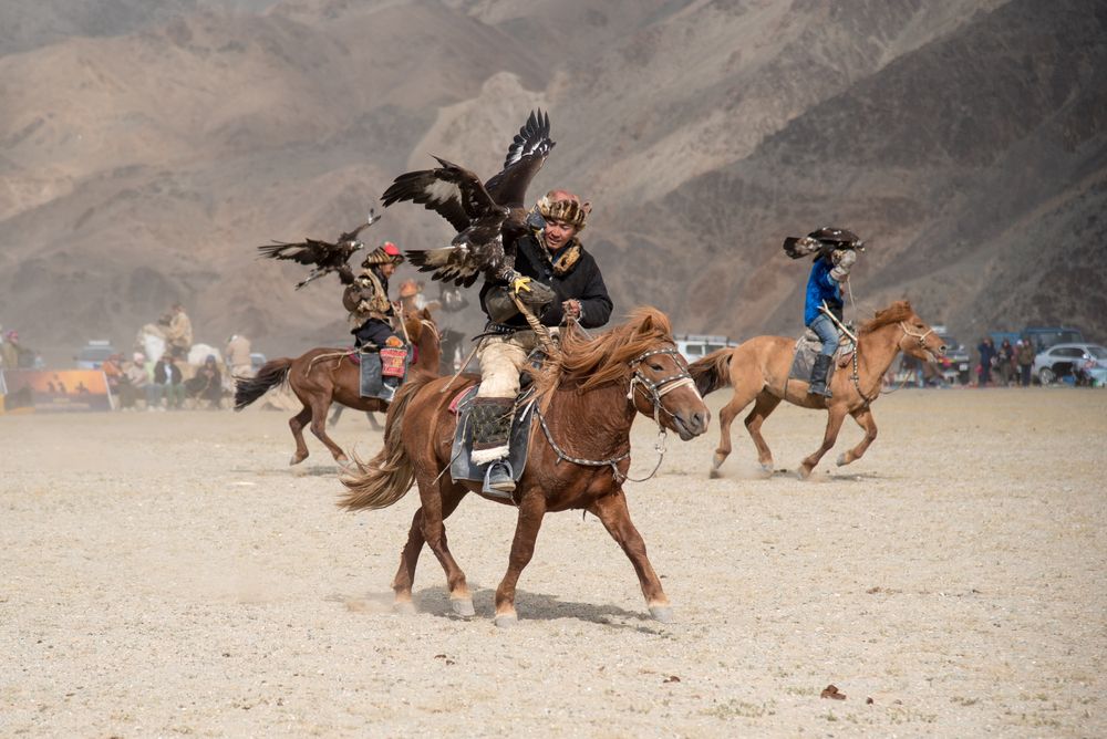 Фотография автора Марина Корреа Ластра