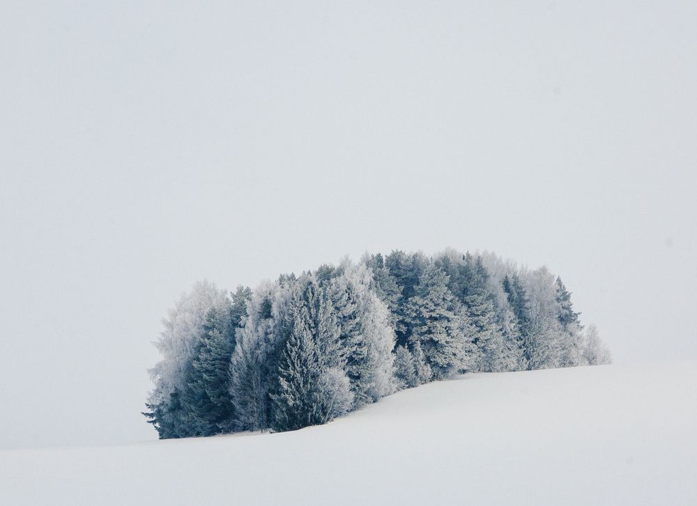 Photograph by Анатолий Вахрушев