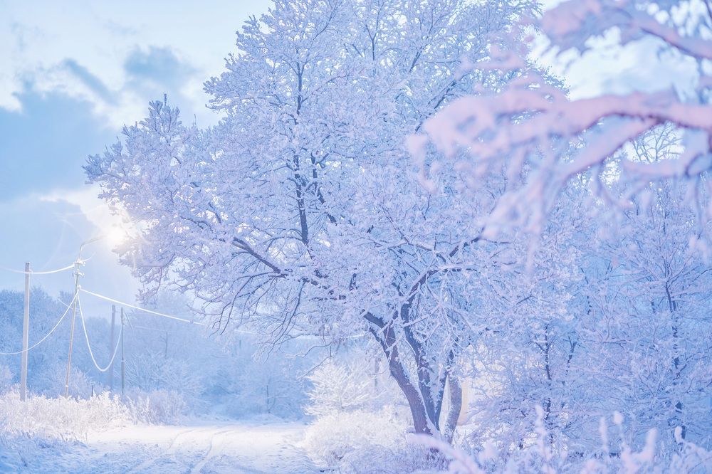 Photograph by Олег Мороз