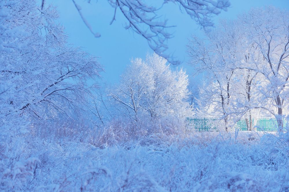 Photograph by Олег Мороз