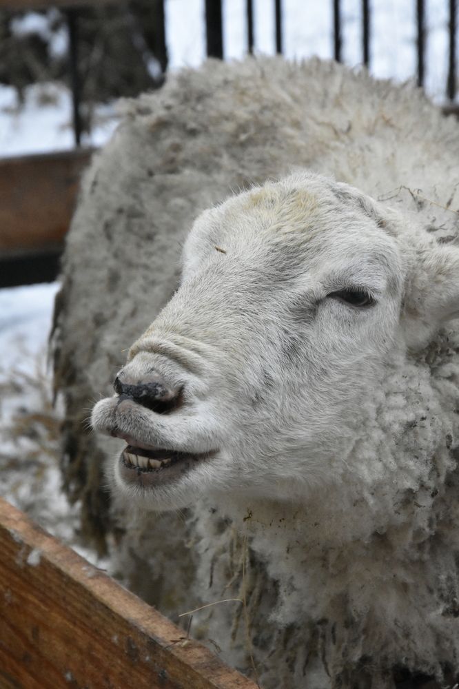 Фотография автора Юлия Ю.