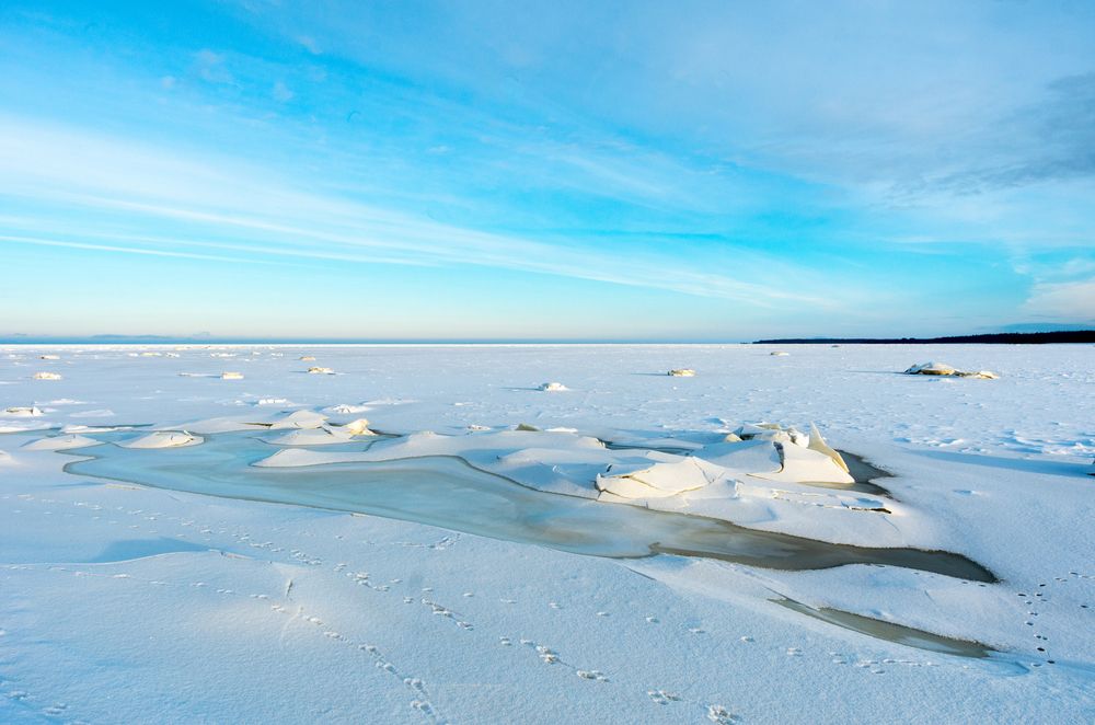 Фотография автора Yulia