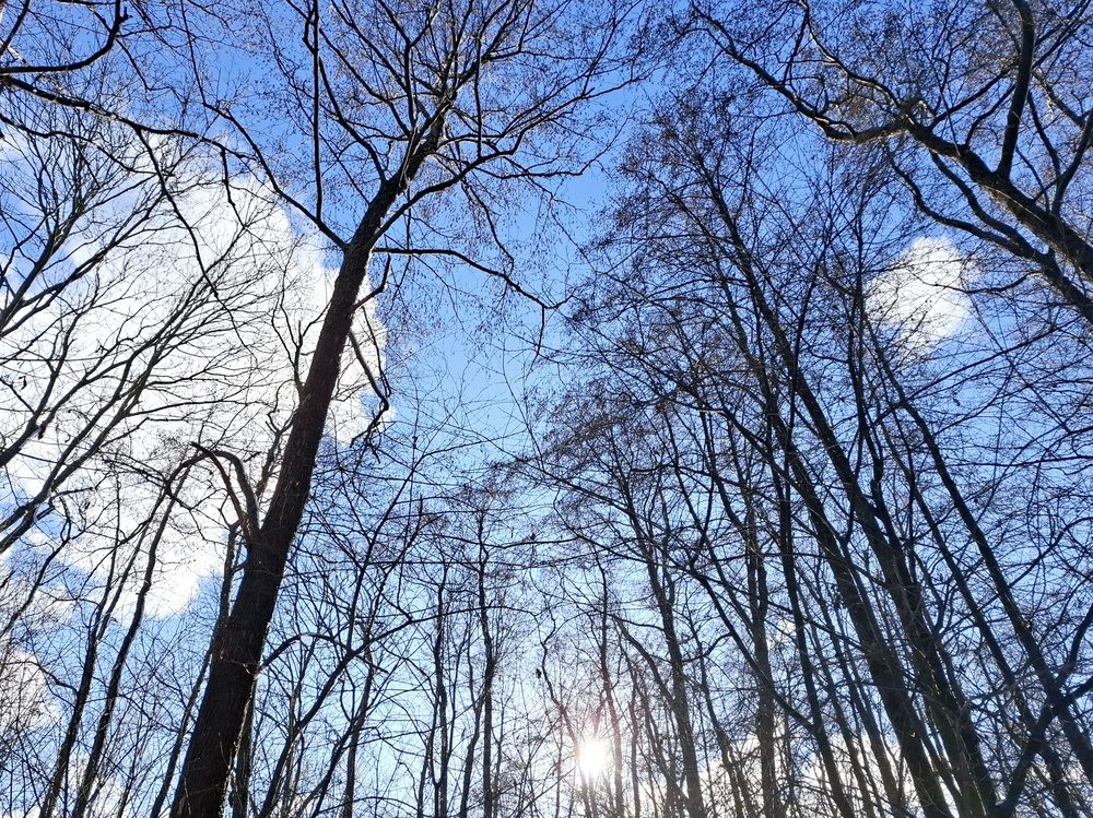 Photograph by Владимир Кублицкий