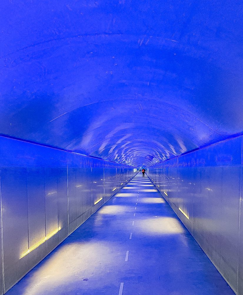 Photograph by Sophia