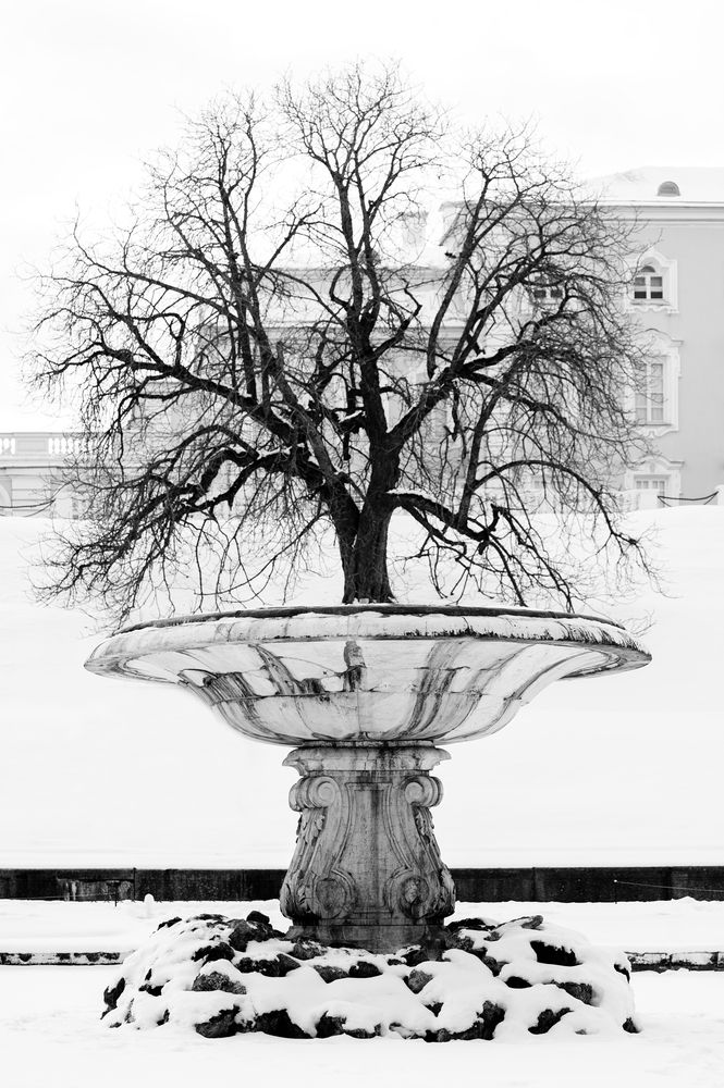 Фотография автора Yulia