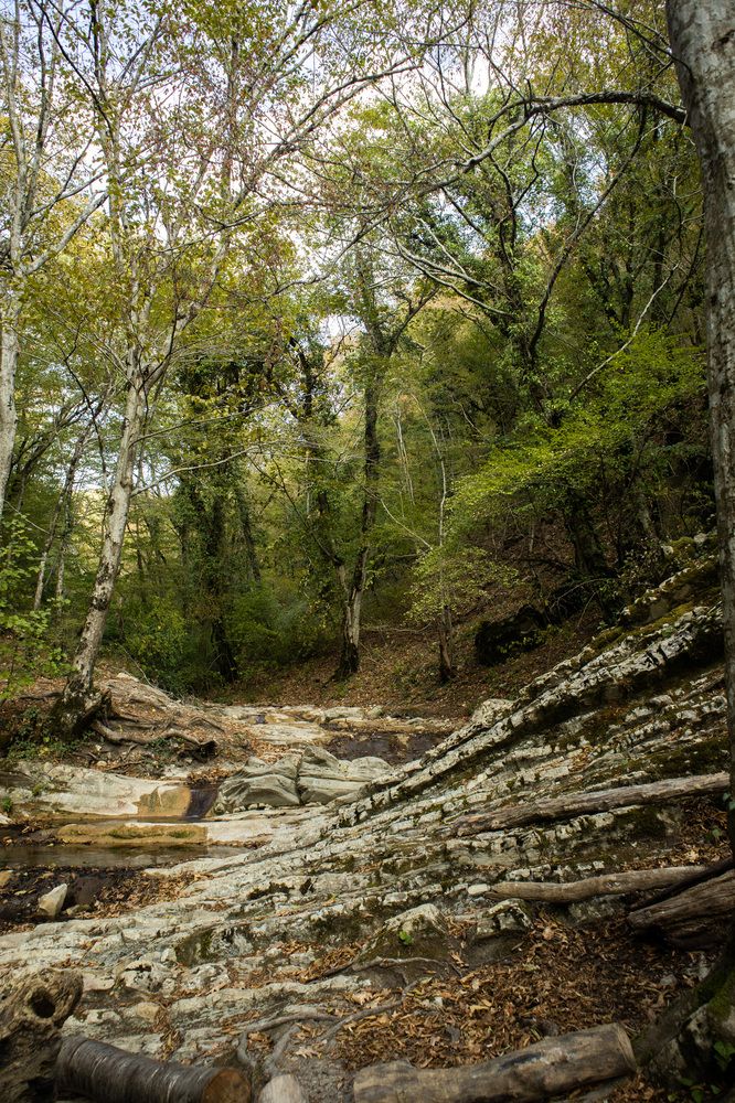 Фотография автора Ксения Золотарь