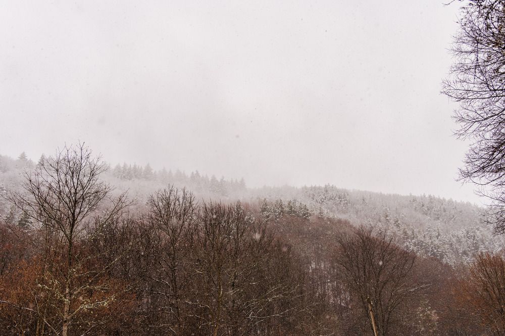 Somewhere in Strandza mountain