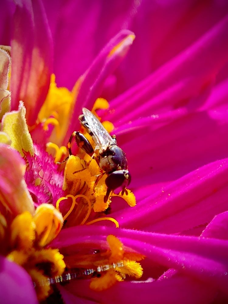 Photograph by Александр