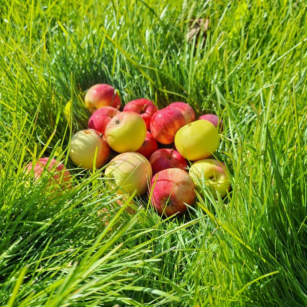 Photograph by Анна