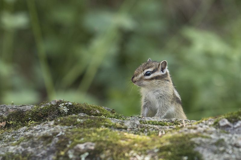 Molokov Sergey, Russia